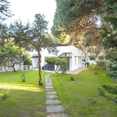 Villa Eucalipto Valledoria  Exterior foto